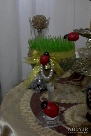 طرز تهیه سبزه ارزن ساده و خوشمزه توسط m.s - کوکپد طرز تهیه سبزه ارزن ساده و خوشمزه توسط m.s - کوکپد