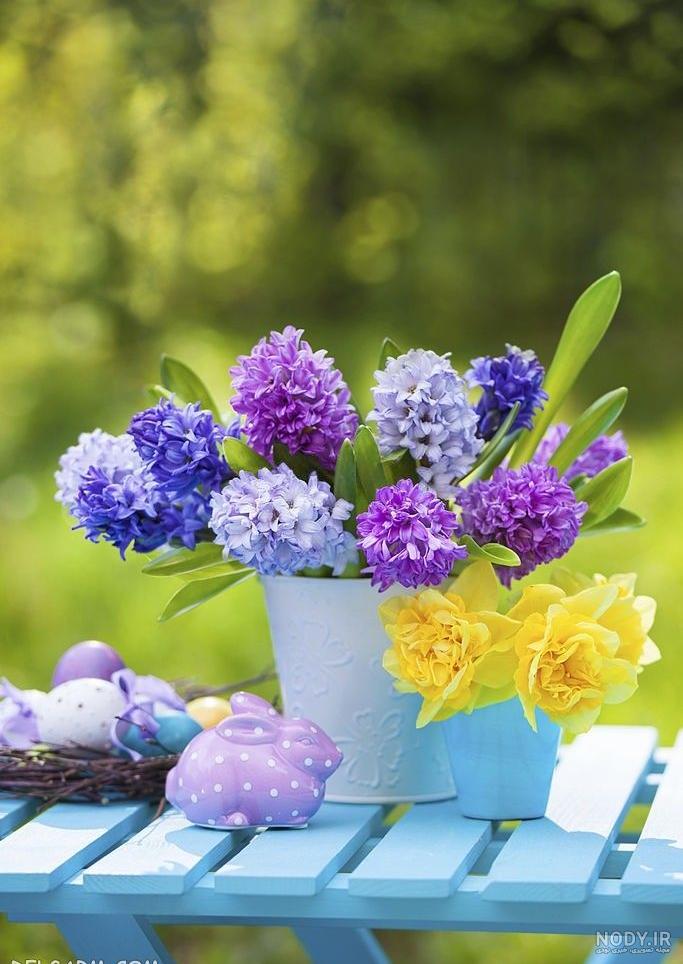 عکس سبزه و گل زیبا