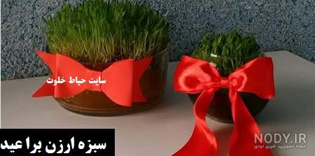 نحوه کاشت سبزه ارزن و نکاتی که باید بدانید نحوه کاشت سبزه ارزن و نکاتی که باید بدانید