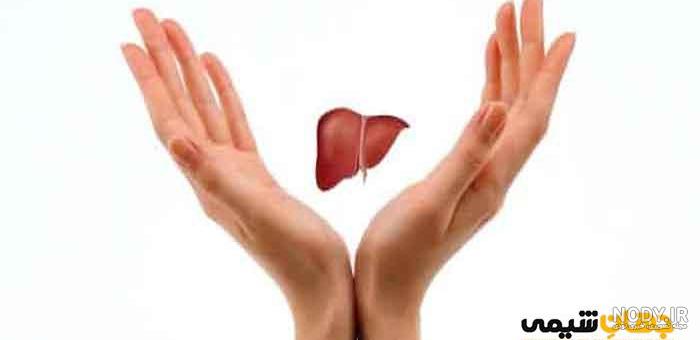 آشنایی با خواص معجزه گر گیاه بن سور کوهی