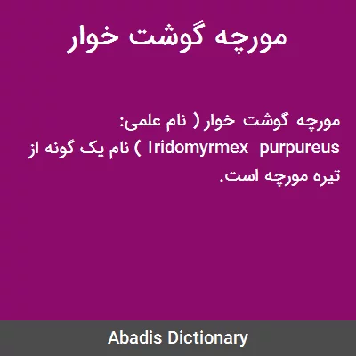 فرارو | (تصاویر) ۹ حقیقت جالب درباره مورچه‌خوار