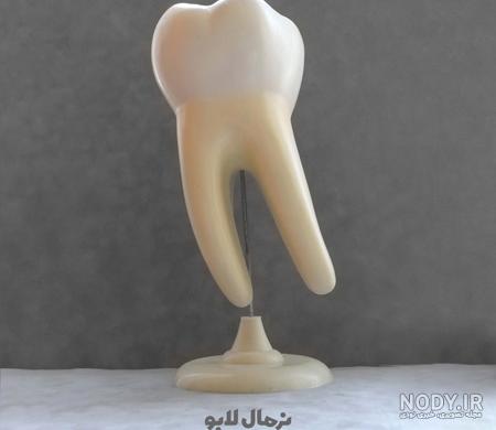 بارومتر آنالوگ ۲۹.۴۰۰۳ - نرمال لابو