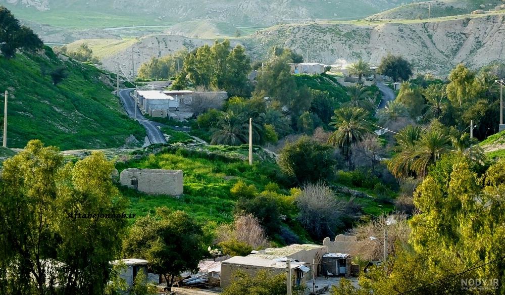 بوی خوش صفا در "بن پیر" گچساران+تصاویر