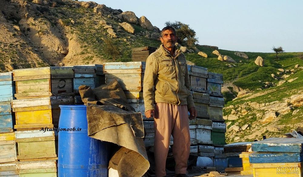 بوی خوش صفا در "بن پیر" گچساران+تصاویر | پایگاه تحلیلی خبری آفتاب جنوب