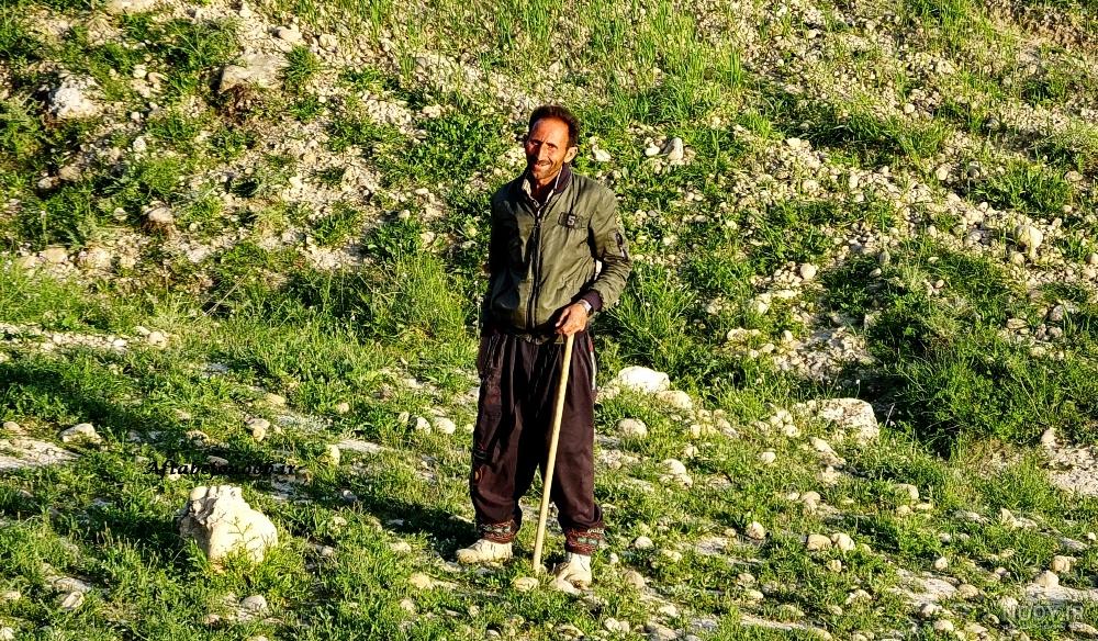 بوی خوش صفا در "بن پیر" گچساران+تصاویر | پایگاه تحلیلی خبری آفتاب جنوب