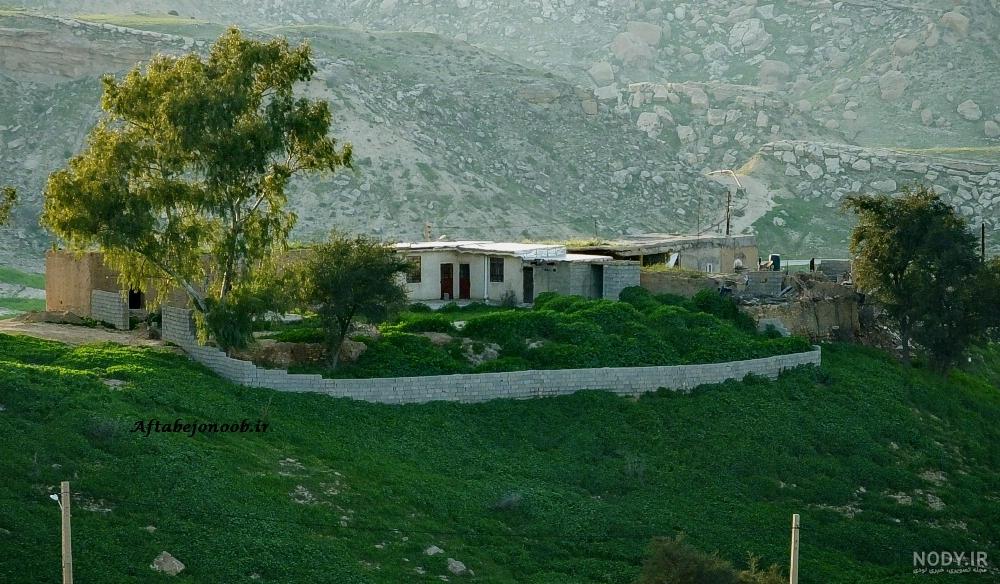 راه دانا - بوی خوش صفا در "بن پیر" گچساران+تصاویر - صاحب‌خبر