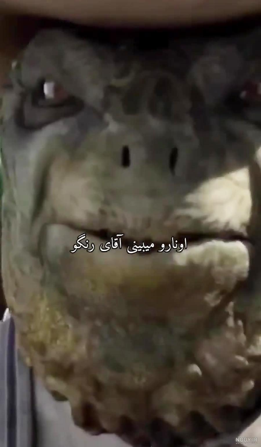 آهنگ انیمیشن رنگو Rango (آلبوم کامل)