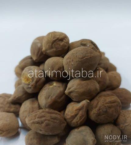 بلوبری ایرانی چیست ؟ + 3 نوع از انواع آن | عطاری آنلاین محقق