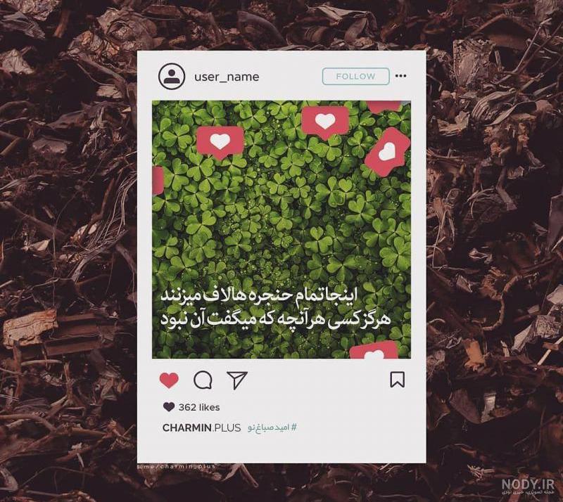 تام و جری روپیدا کن لایکن - عکس ویسگون