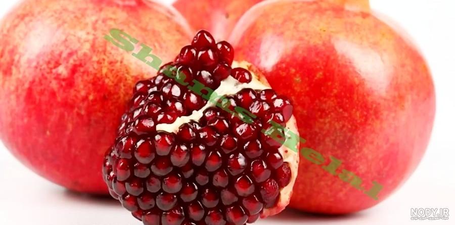 خرید نهال بلوبری | نحوه پرورش درخت بلوبری | قیمت + عکس | نهالستان ...