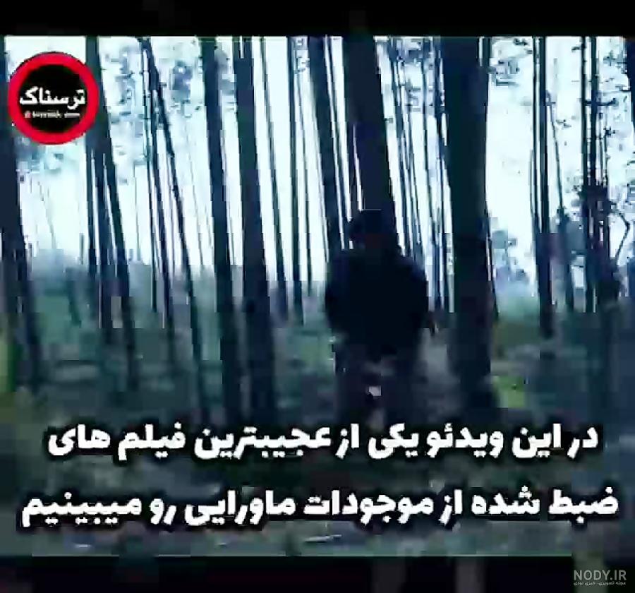 عکس سفید برفی ترسناک