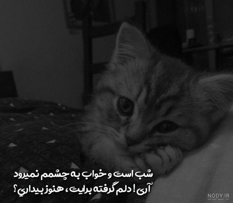 عکس پروفایل غمگین خاص تنهایی دلتنگی وعاشقانه - عکس پروفایل
