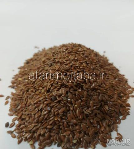 قیمت خرید بلوبری خشک + مزایا و معایب - آراد برندینگ