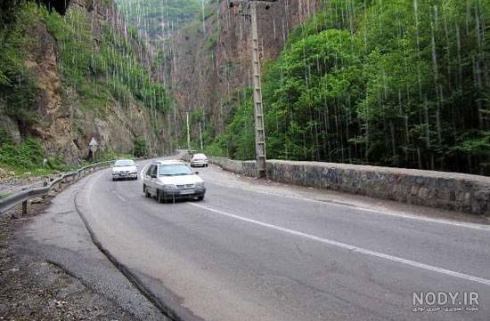 تارزان واقعی ساخت ویلا با بامبو در قلب جنگل تارزان واقعی ساخت ویلا با بامبو در قلب جنگل