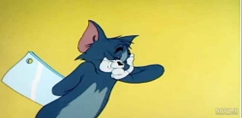 سونیک یا میگ میگ سونیک یا میگ میگ
