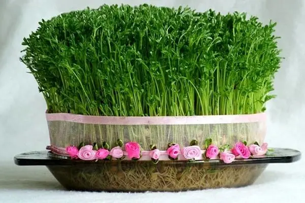 شعر های باران خورده .... | اشعار امیلی دیکنسون شعر های باران خورده .... | اشعار امیلی دیکنسون