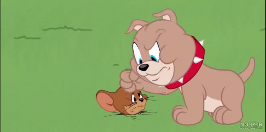کارتون تام و جری | Tom and Jerry - بچه سگ