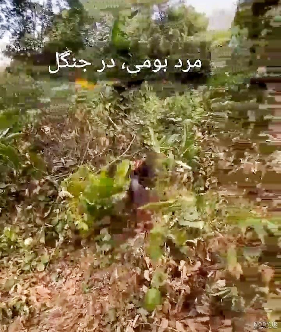 کشف تارزان‌های واقعی در ویتنام+تصاویر - جهان نيوز
