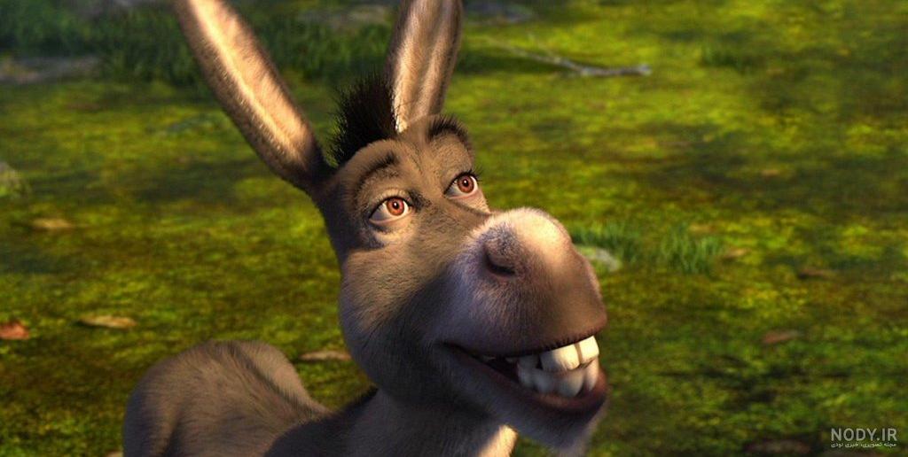 DreamWorks Is Pretty Confident 'Shrek 5' Will Happen DreamWorks Is Pretty Confident 'Shrek 5' Will Happen