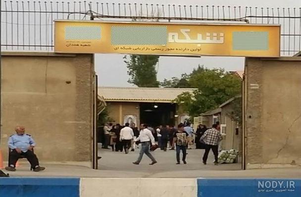 عکس شرکت های هرمی