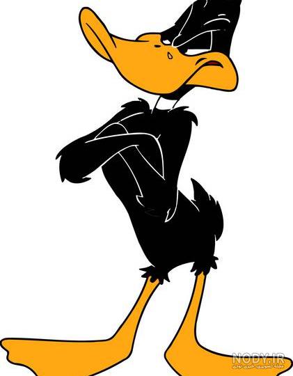 looney عکس با کیفیت looney و وکتور لایه باز looney پارس استاک ...