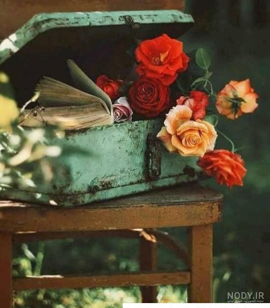 تمام عکس های زیبای خفته