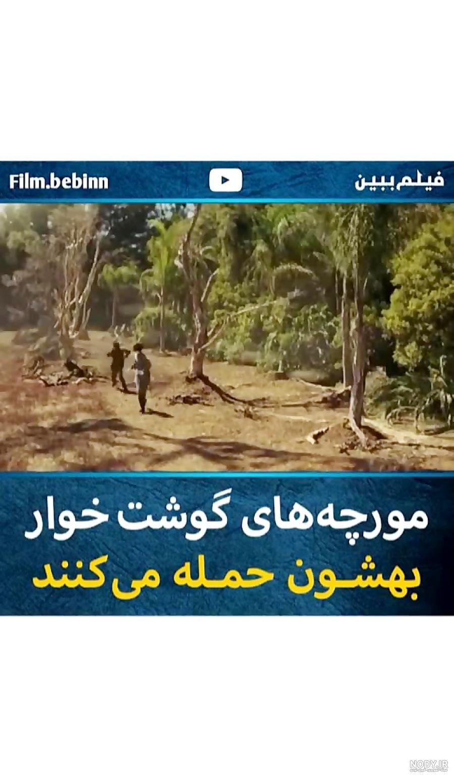 مورچه های گوشت خوار مورچه های گوشت خوار