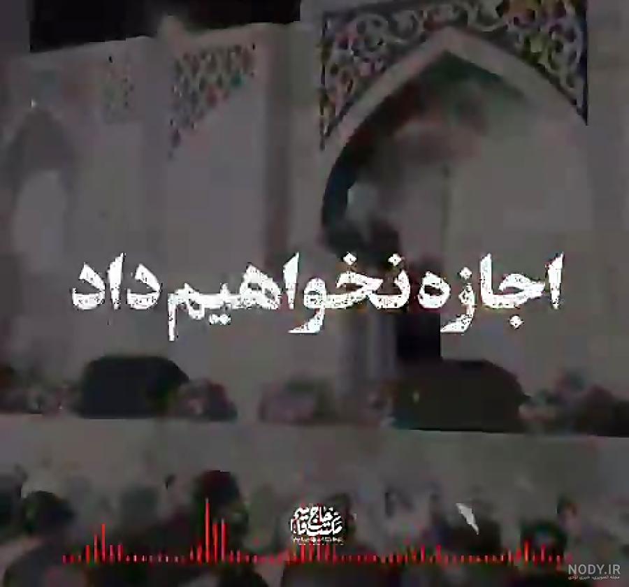 مورچه های گوشت خوار مورچه های گوشت خوار