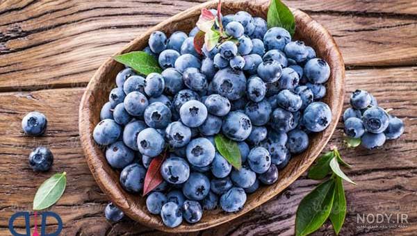 خواص بلوبری برای درمان ، سلامت و زیبایی + عوارض خواص بلوبری برای درمان ، سلامت و زیبایی + عوارض