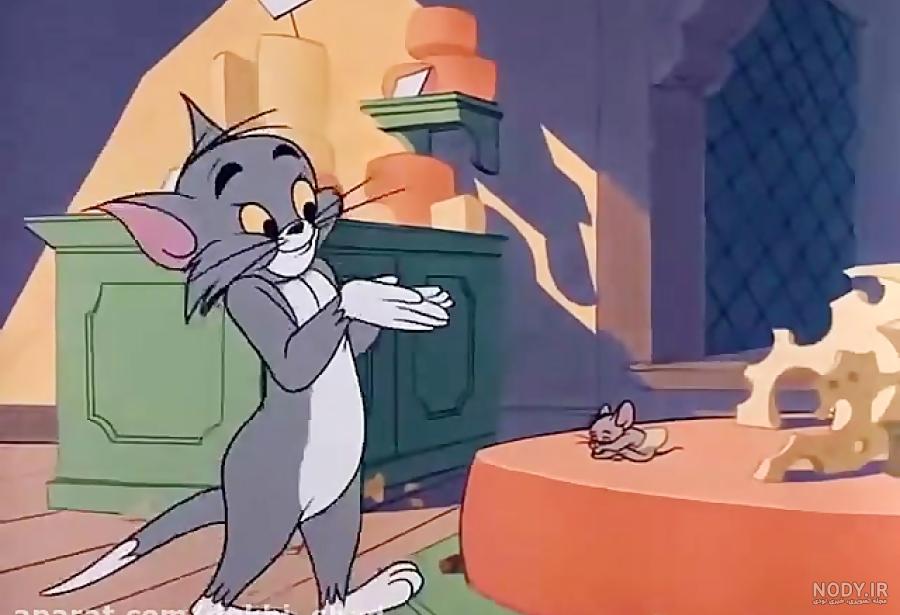 عکس تام و جری
