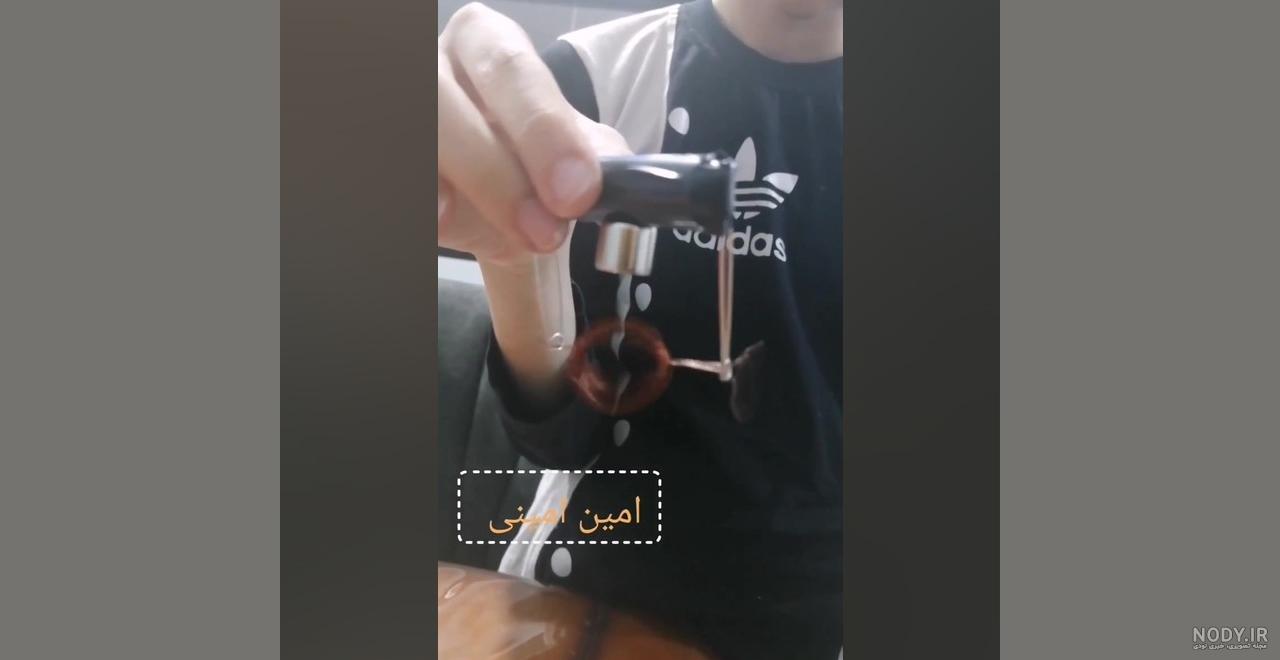 عکس پلنگ صورتی (آلبوم عکس ها) - تــــــــوپ تـــــــــاپ