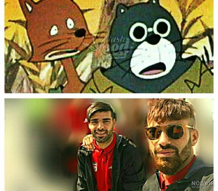 عکس گربه نره و روباه مکار