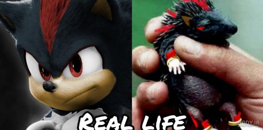 FNF Sonic.exe With Lyrics در کانال Fleetway Super Sonic Gamer | کاسبرگ FNF Sonic.exe With Lyrics در کانال Fleetway Super Sonic Gamer | کاسبرگ