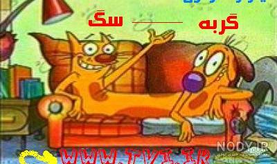 تاریخ‌سازی آمریکایی‌ها با «رنگو» (+عکس)
