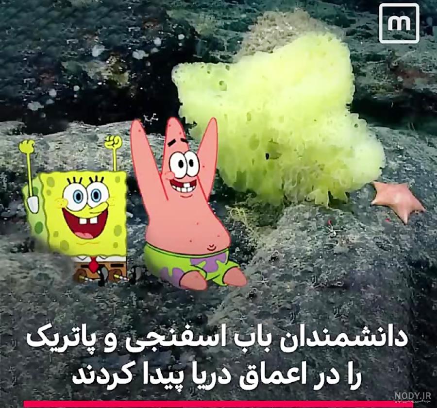 خبرآنلاین - عکس | کشف باب اسفنجی و پاتریک واقعی در قعر اقیانوس خبرآنلاین - عکس | کشف باب اسفنجی و پاتریک واقعی در قعر اقیانوس