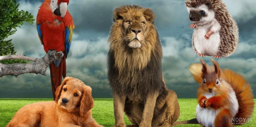عکس السا پس زمینه - عکس نودی عکس السا پس زمینه - عکس نودی