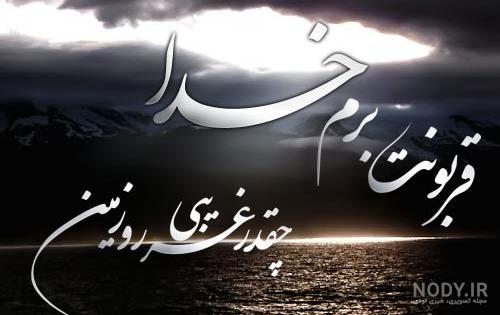 عکس بوشوگ سگ لوک خوش شانس