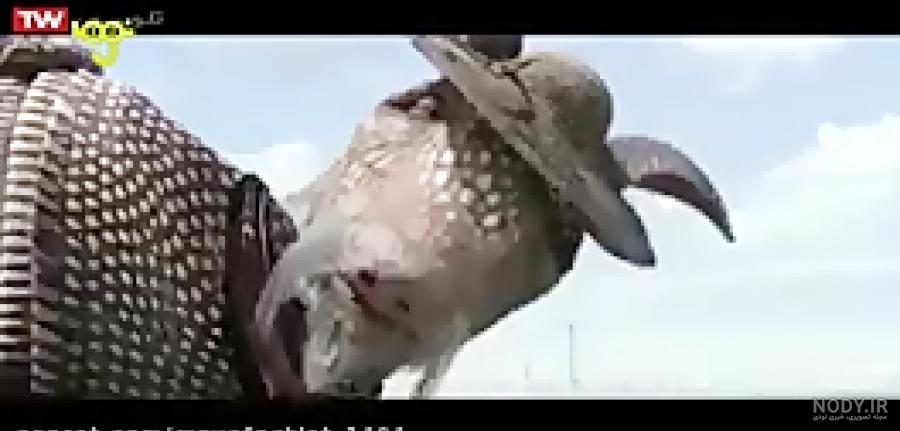 نقد و تحلیل انیمیشن رنگو ( Rango )- فلسفی یا سیاسی؟
