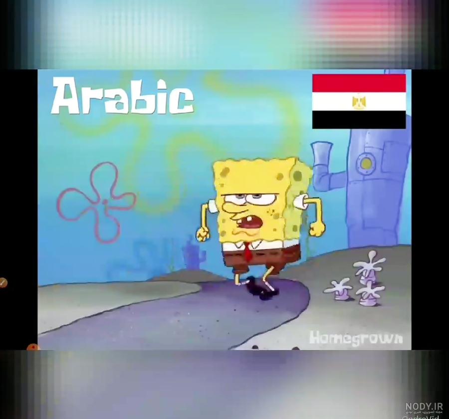 کارتون باب اسفنجی شیرجه به سطح دریا جدید کارتون باب اسفنجی شیرجه به سطح دریا جدید