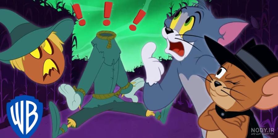 بیوگرافی Tom Kenny | نماوا بیوگرافی Tom Kenny | نماوا