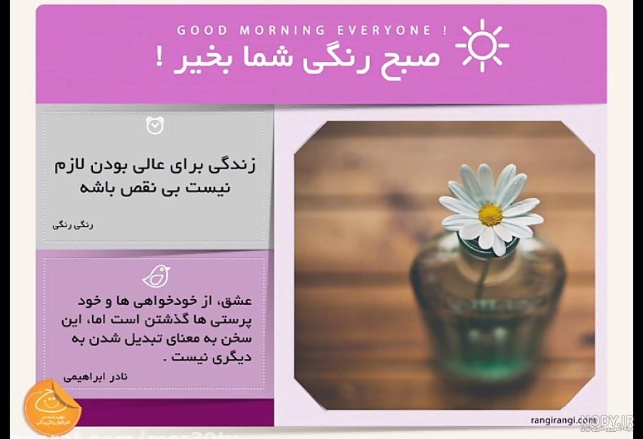 عکس میگ میگ و گرگ واقعی