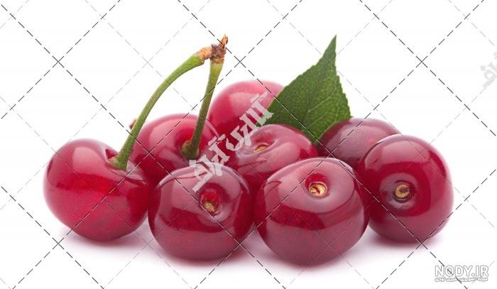 لاک قرمز - زیبامون