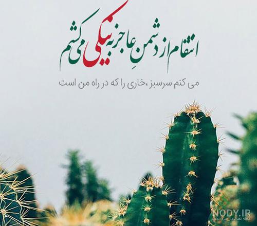 مجموعه تصاویر پینوکیو گربه نره و روباه مکار (جدید) مجموعه تصاویر پینوکیو گربه نره و روباه مکار (جدید)