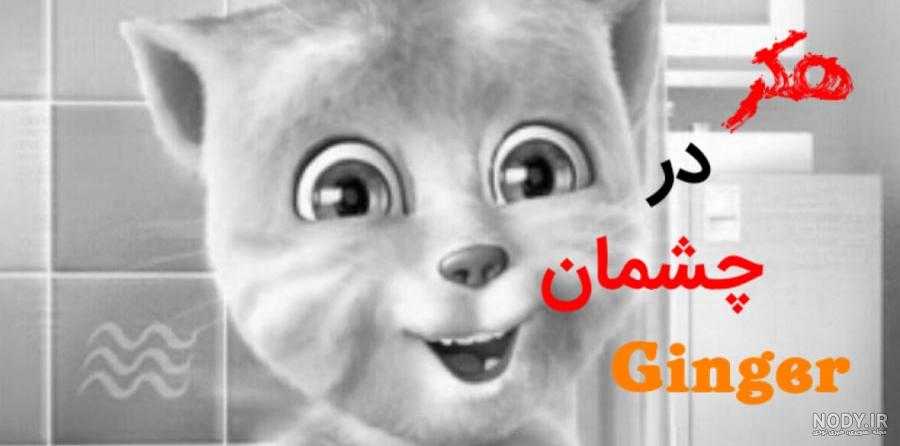 هکر انجلا ... چشمان انجلا