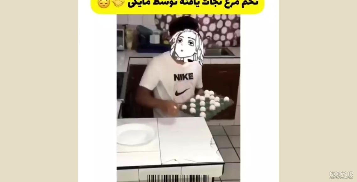 دانلود مجموعه 50 تصویر زمینه برای ویندوز 12 با موضوع حیوانات