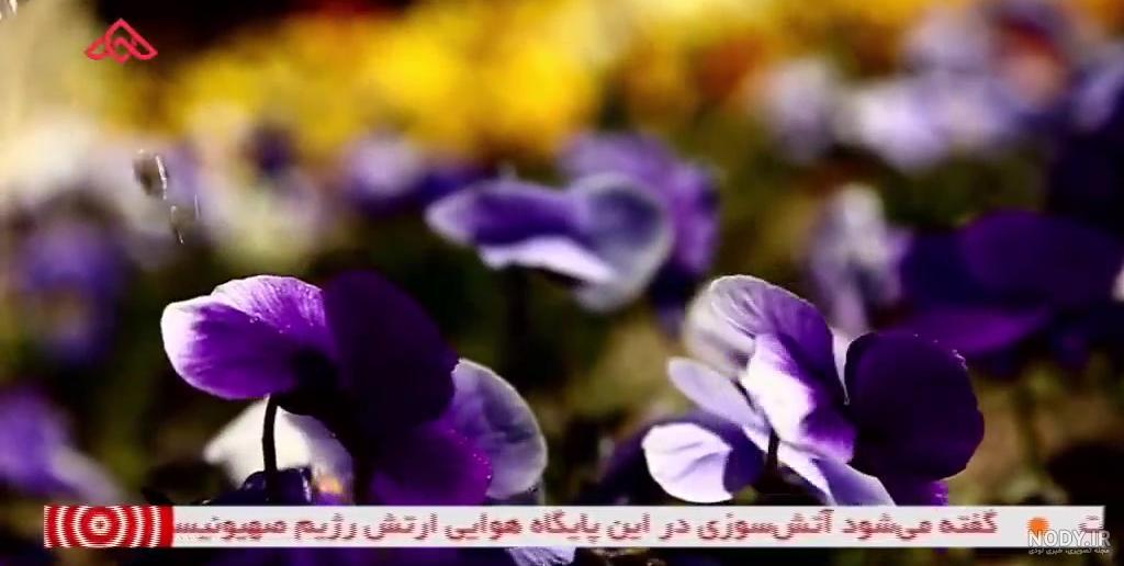 تصویر هوایی از زیبایی خیره کننده «گرداب بن»