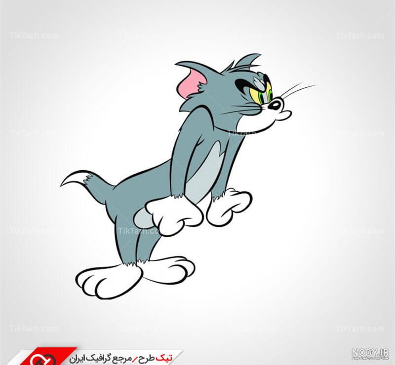 عکس تام گربه سخنگو
