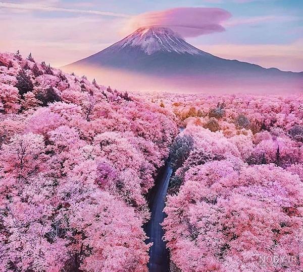 عکس های پروفایل دخترانه بهاری