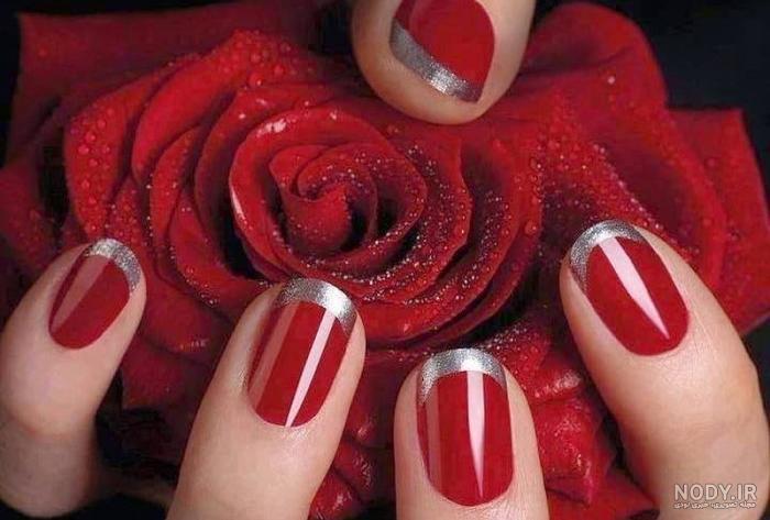 عکس پروفایل گل رز؛ عکس های زیبای گل رز قرمز برای پروفایل