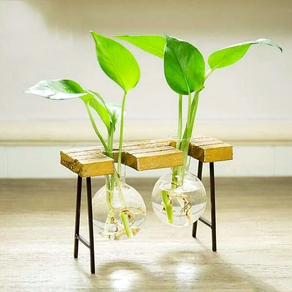  تصویر زمینه گل با گلدان شیشه ای